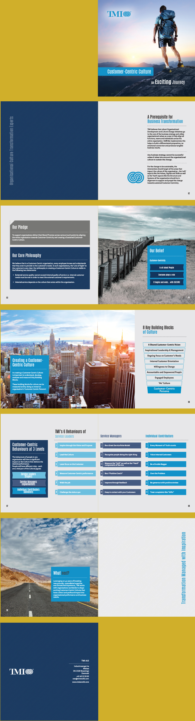 TMI Brochure